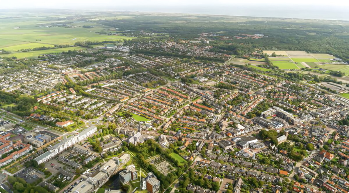 Il nostro inventario include una vasta gamma di veicoli.